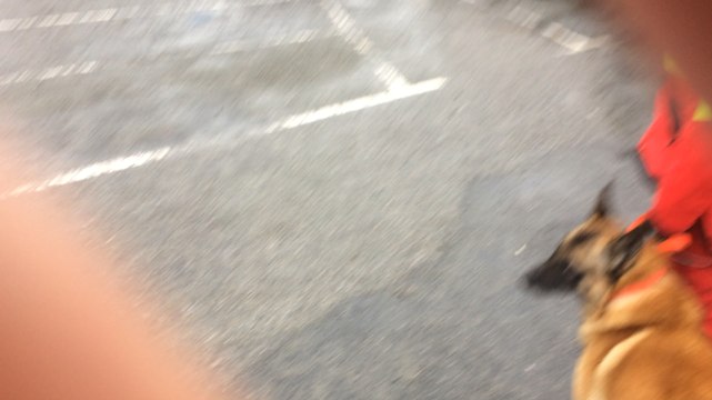 Congrès départemental des pompiers