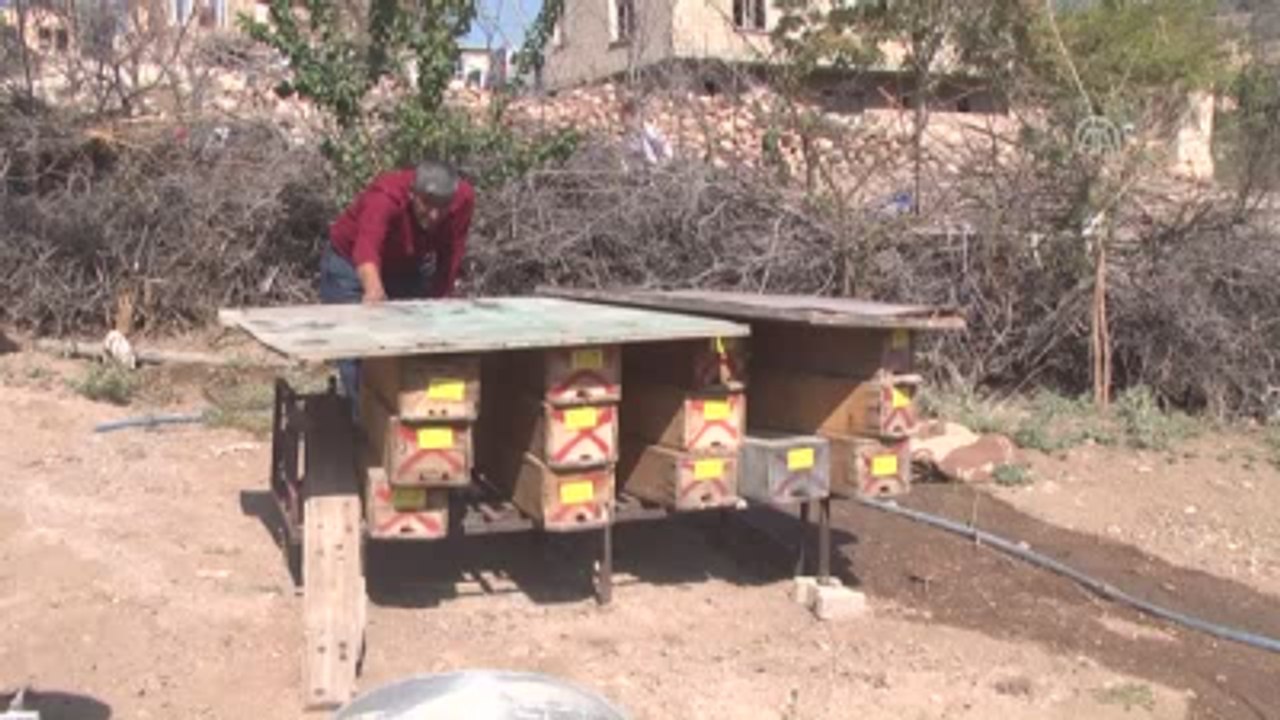 Arıcılığı Geliştirme Projesi"