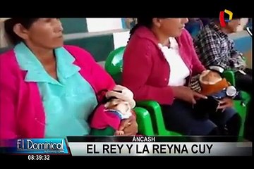 Realizan inusual concurso buscando al “Rey y Reyna Cuy” en Áncash