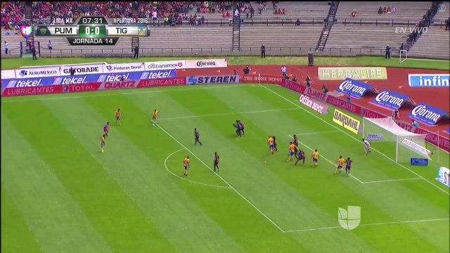 0-1 Lucas Zelarrayan Goal - UNAM Pumas 0-1 Tigres UANL Liga MX Apertura 23.10.2016 HD
