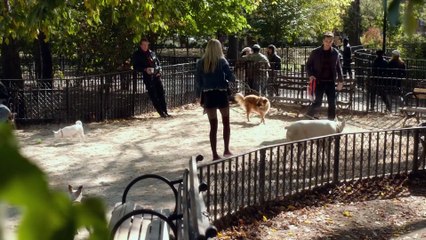 My Dead Boyfriend Official Trailer 1 (2016) - Heather Graham Movie