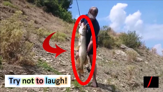 LES VIDEOS LES PLUS DRÔLES - ESSAYEZ DE NE PAS RIRE Compilations Vidéos Drôles #19