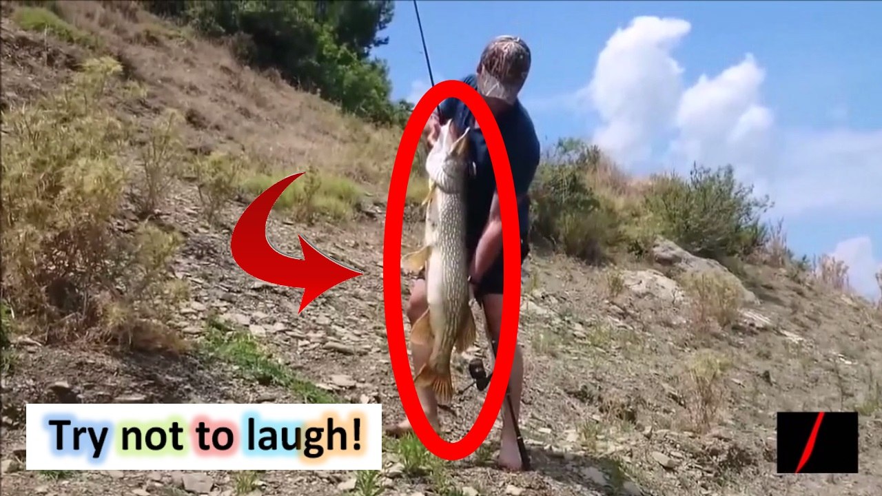 LES VIDEOS LES PLUS DRÔLES - ESSAYEZ DE NE PAS RIRE Compilations Vidéos Drôles #19