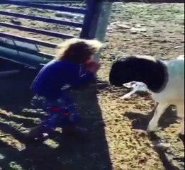 НУ ОЧЕНЬ СМЕШНОЕ ВИДЕО...