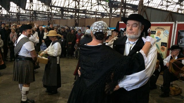 Bogue d'or 2016 : les groupes de danseuses et danseurs font le spectacle
