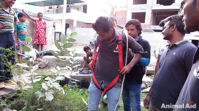 Heartwarming rescue of dog fallen in well - watch when she sees her rescuer