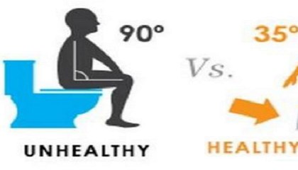 Altering Your Toilet Position Could Lead The Way To Gastrointestinal Health