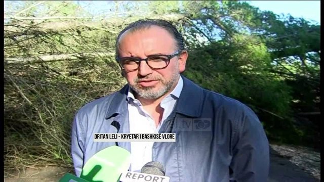 Stuhia fluturon varkat mbi pemë në Vlorë - Top Channel Albania - News - Lajme