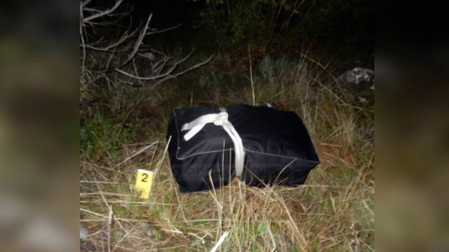 Operacion masiv antikanabis në Vlorë,Tepelenë, Krujë & Shkodër - Top Channel Albania - News - Lajme