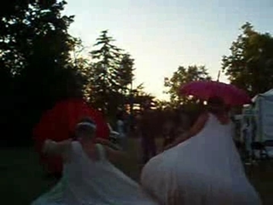 Nuits du Bois Fleuri à Lormont 1/4