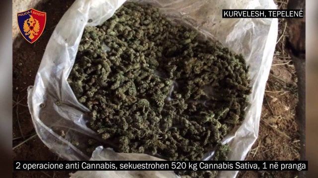 Operacion masiv antikanabis në Vlorë, Tepelenë, Krujë & Shkodër - Top Channel Albania - News - Lajme