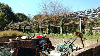 Des serres abandonnées et détruites