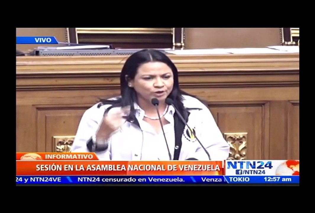 Asamblea aprueba acuerdo que declara la "ruptura del orden constitucional en Venezuela"