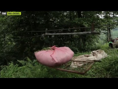 Yeşilin Buğusu - 2. Bölüm Fragman - TRT Belgesel