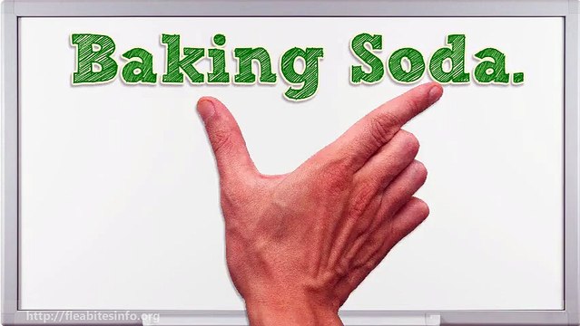 Bed Bug - How To Kill Bed Bugs With Baking Soda?