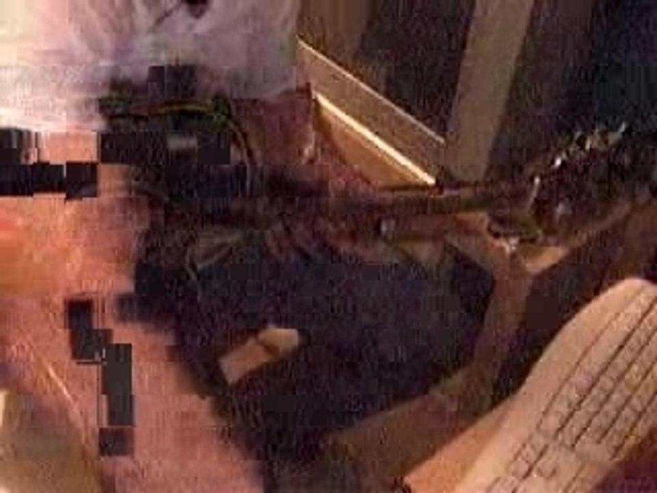 Bleach guitare manga