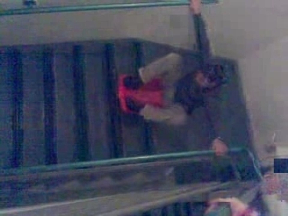 descente d'éscalier en luge