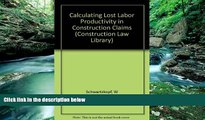 Big Deals  Calculating Lost Labor Productivity in Construction Claims (Construction Law Library)