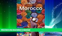 READ BOOK  Lonely Planet Morocco (Travel Guide)  GET PDF