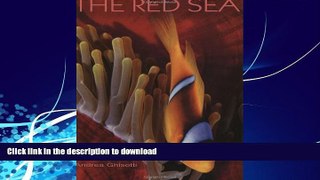 READ  The Red Sea FULL ONLINE