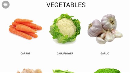Learn Fruits, Vegetables, Animals, Sports, Numbers and Shapes for Kids