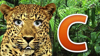 ABC Song, Phonics, English, Children, Nursery Rhymes, Alphabet for Babies