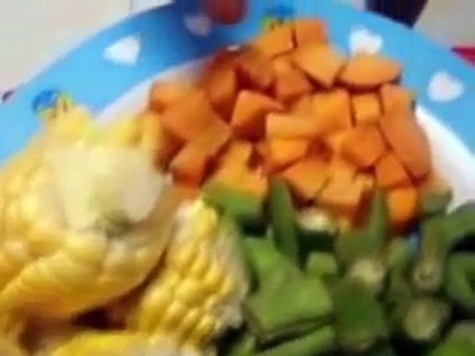 INDONESIAN RECIPES_CULINARY#17_Resep dan Cara Memasak Sayur Asem