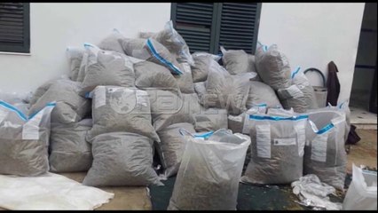 Në Krujë u gjet magazina me 1. 3 ton drogë, 11 persona në pranga