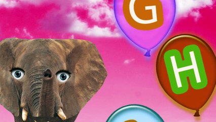 Pink Balloons (elephant)