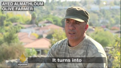 Palestinian olive farmers struggle to survive
