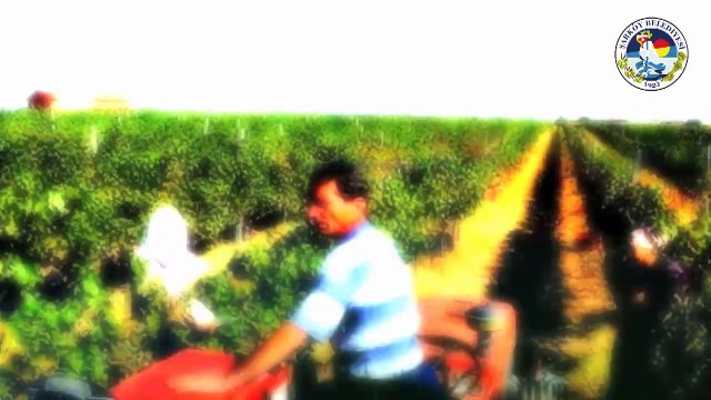 Şarköy Belediyesi Tanıtım Videosu 2016