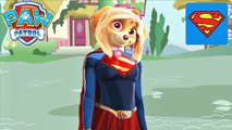 Paw Patrol Superheroes Painting Episodes | Paw Patrol Skye Transforming Superman Harley Quinn