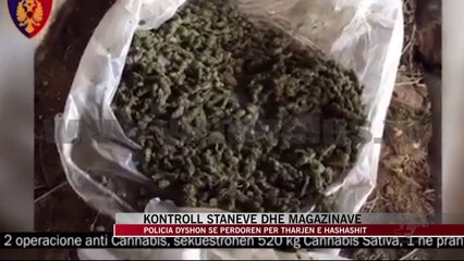 Asgjësimi i drogës, prokurorë në terren - News, Lajme - Vizion Plus