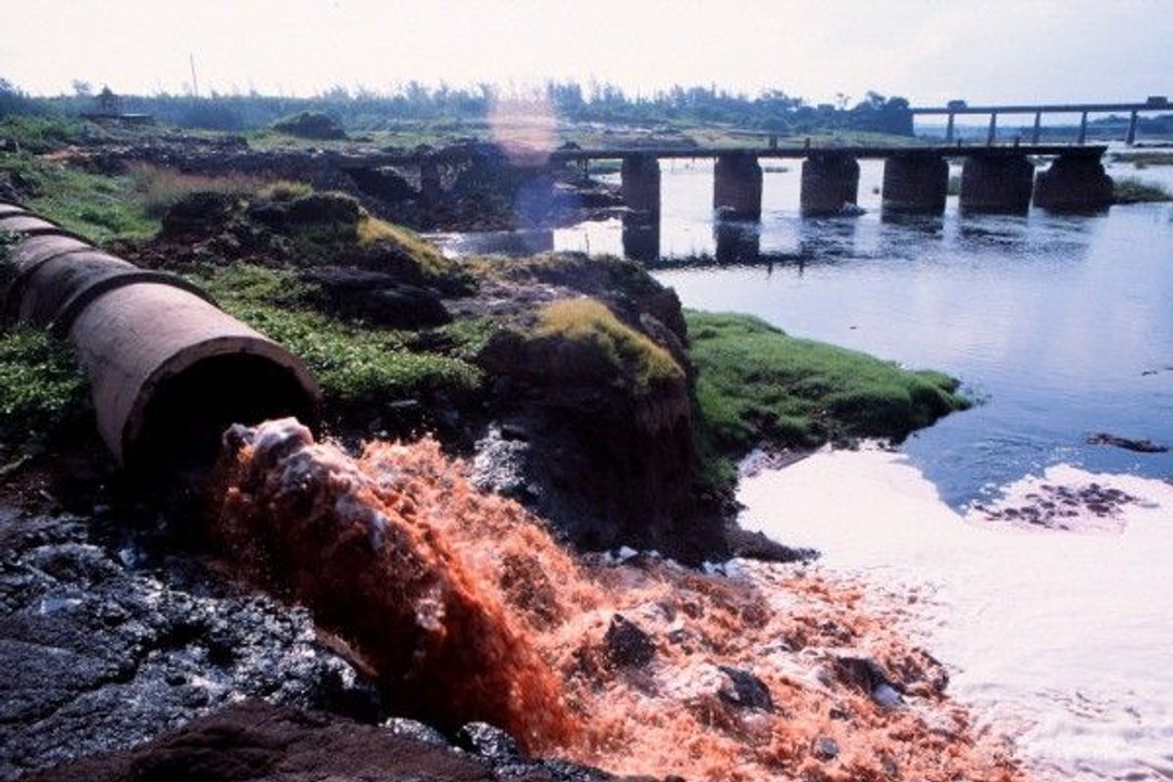 Heavy Metals and Environmental Pollution