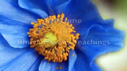 Unlock Inner Peace: The Power of Meditation 🌟