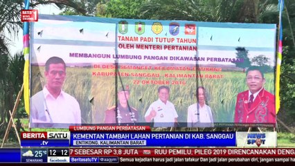 Kementerian Pertanian Jadikan Sanggau Lumbung Pangan