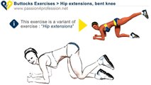 Hip & Buttocks exercise - HIP flexor - thigh exercise for woman  Hip extensions, bent knee
