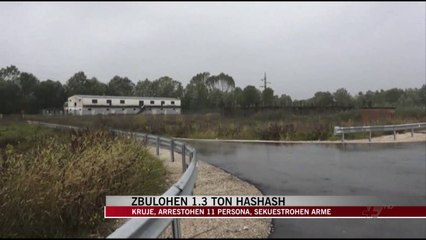 Télécharger la video: Zbulohen 1.3 ton hashash në Krujë - News, Lajme - Vizion Plus