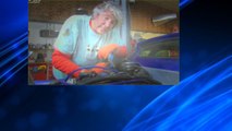 Wheeler Dealers S12E19