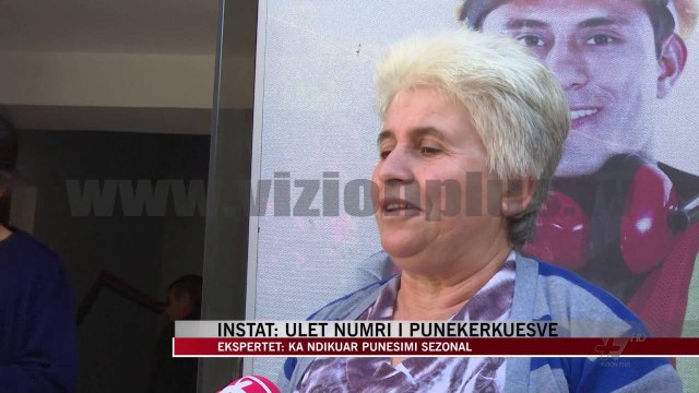 INSTAT: Ulet numri i punëkërkuesve - News, Lajme - Vizion Plus