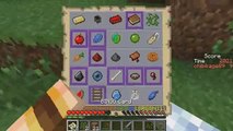 Minecraft Bingo 2 of 3 - Lets Hunt For Spiders - Minecraft Scavenger Hunt