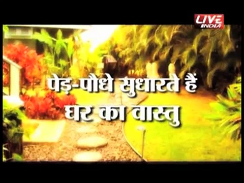 How Plants Bring Luck, Wealth and Prosperity Vastu Tips