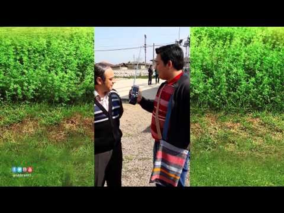 Dünya Kadınlar Gününüz Kutlu Olsun! / Hayati