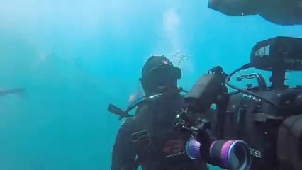 Tehlikeli Balıkların Saldırısına Uğrayan İnsanlar