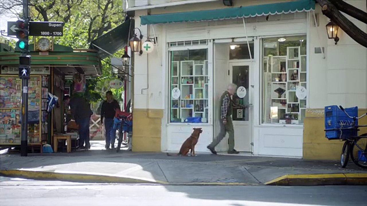O homem e o seu cão