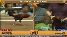 UFCC 2016 7-COCK DERBY FINALS (Part 2) at Pasay City Cockpit