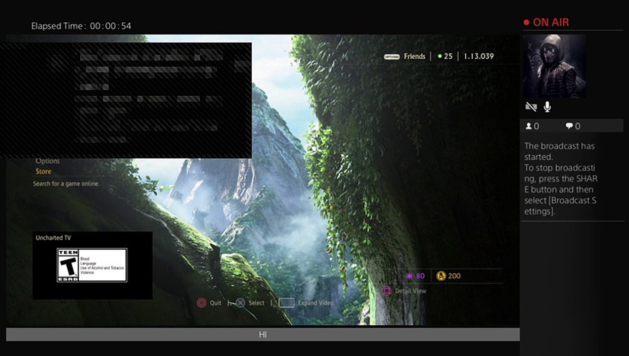 Uncharted (11)