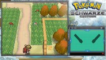 Lets Play Pokémon Schwarze Edition Part 41: Realtalk mit Lauro!