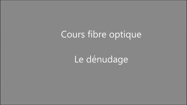 BEMA - Ecoloptiq - LE Dénudage