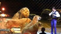 Crazy Lion and Tiger Tamer   Circus whatsapp funny videos 2016